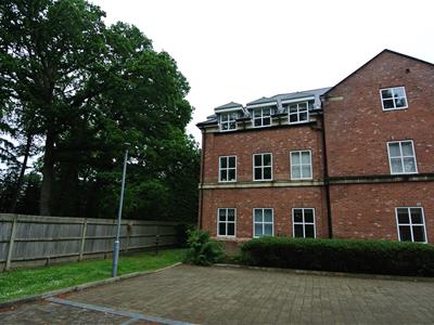 Picture 21